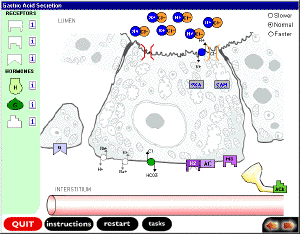 Gastric Acid Secretion Tutorial